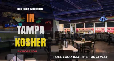 Is Mellow Mushroom in Tampa Kosher? A Detailed Guide