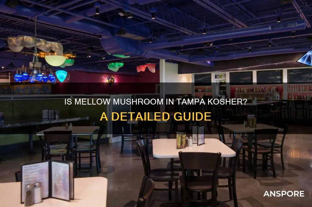 is mellow mushroom in tampa kosher