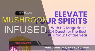 Mellow Mushroom's Infused Menu: A Magical Experience