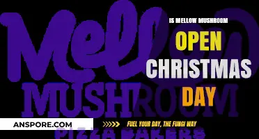 Is Mellow Mushroom Open on Christmas Day? Find Out Here!