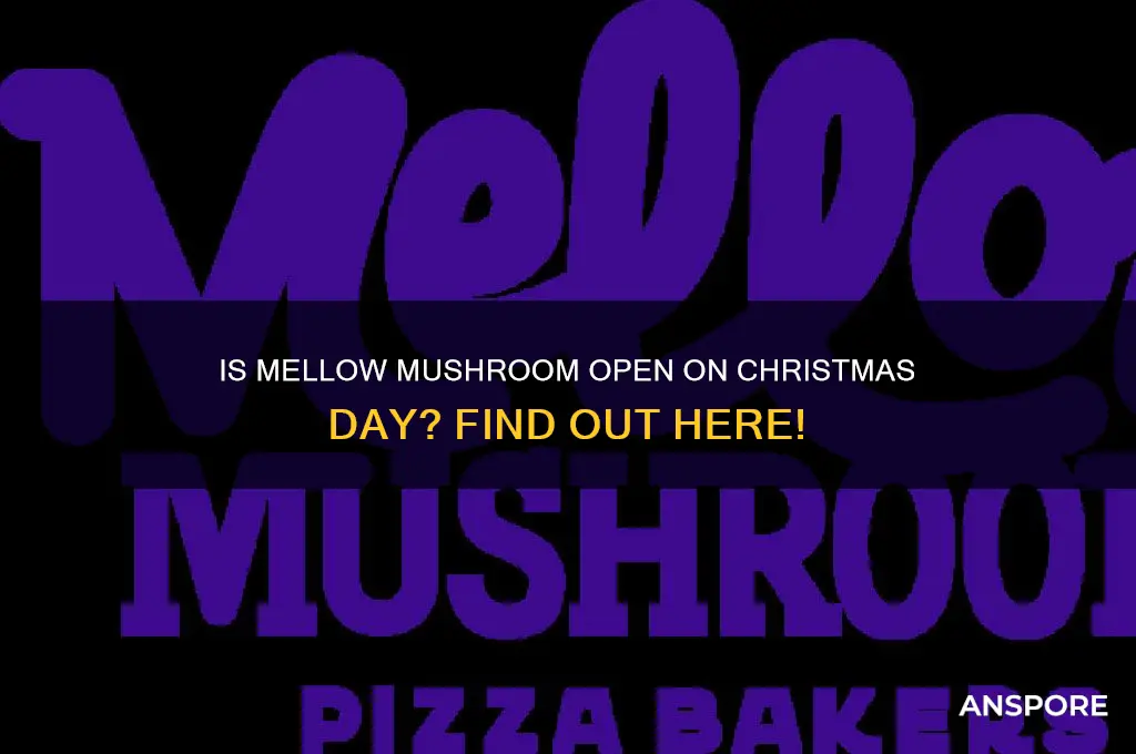 is mellow mushroom open christmas day