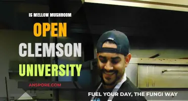 Is Mellow Mushroom Open Near Clemson University? Hours and Location
