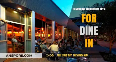 Is Mellow Mushroom Open for Dine-In? Check Hours & Availability