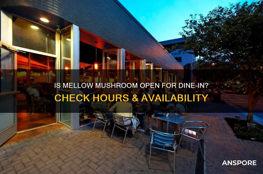 is mellow mushroom open for dine in