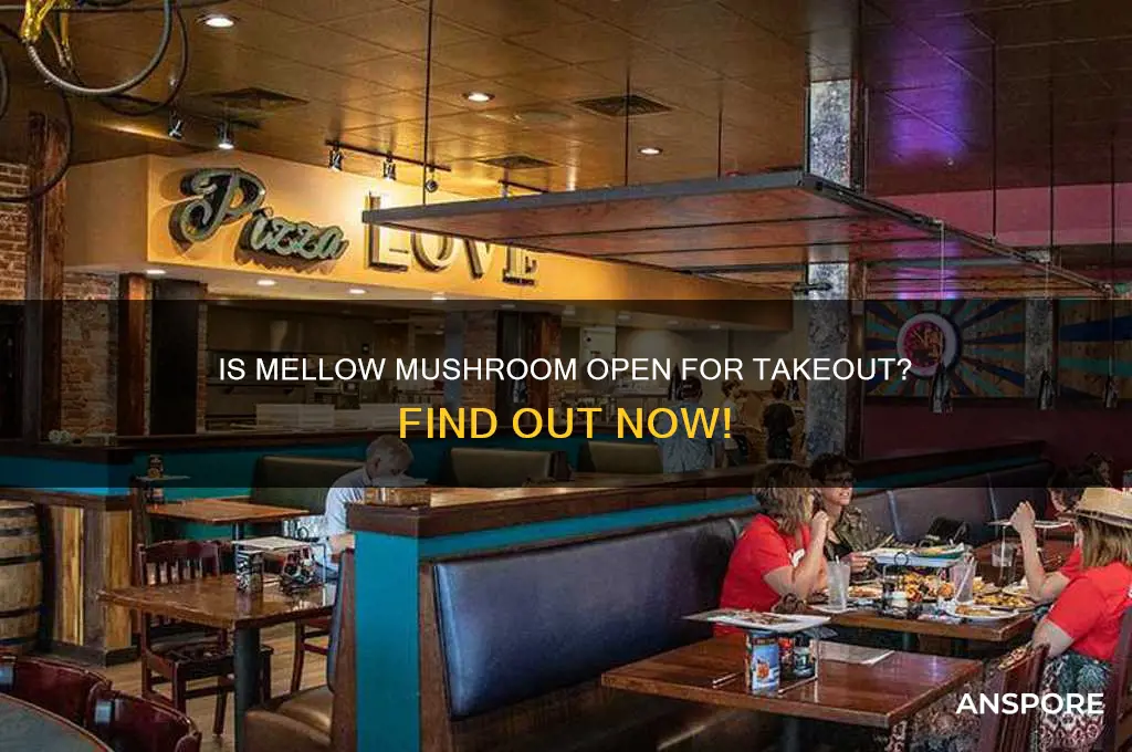 is mellow mushroom open for takeout