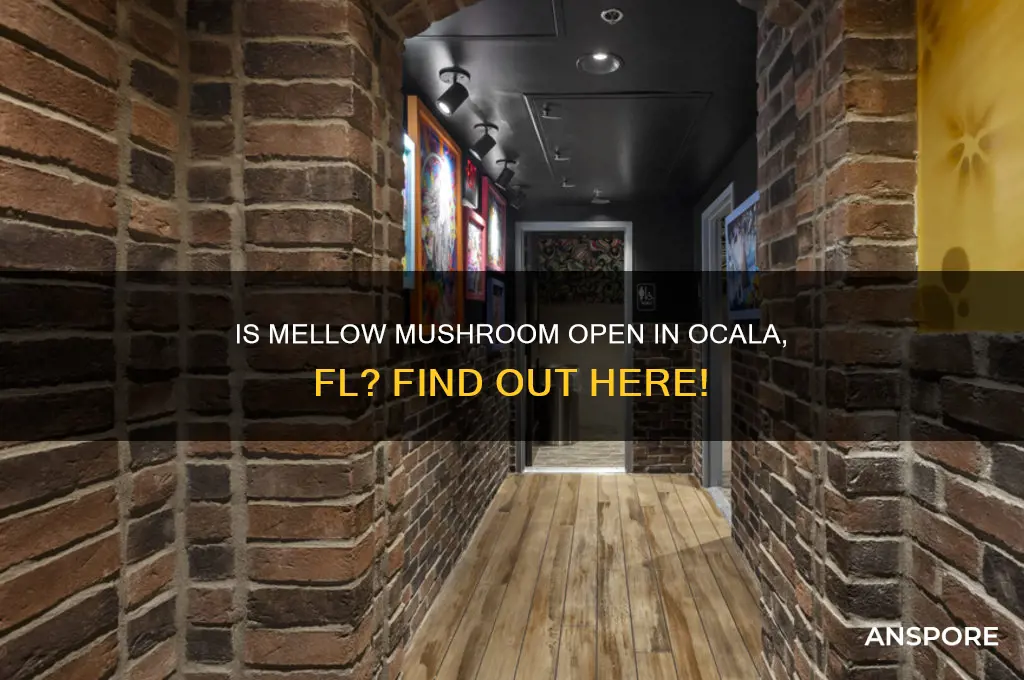is mellow mushroom open in ocala fl