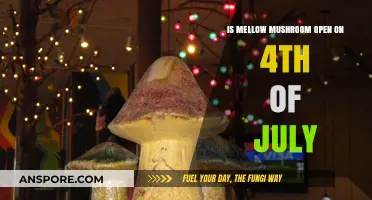 Is Mellow Mushroom Open on July 4th? Check Holiday Hours Here
