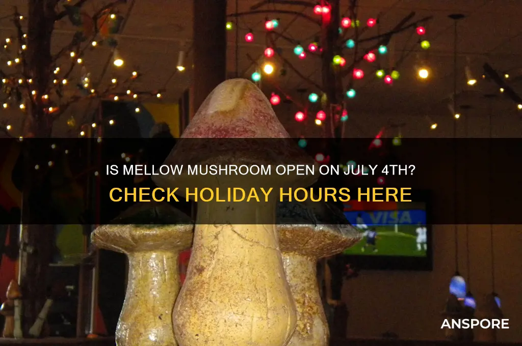 is mellow mushroom open on 4th of july