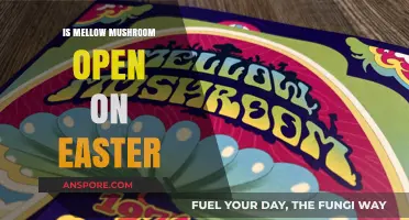 Is Mellow Mushroom Open on Easter? Check Hours Before You Go