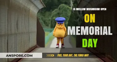 Is Mellow Mushroom Open on Memorial Day? Check Hours Here