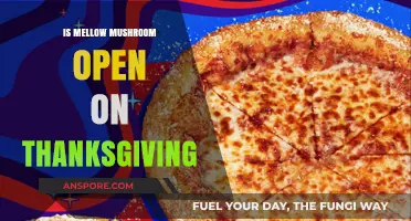 Is Mellow Mushroom Open on Thanksgiving? Check Hours Here!