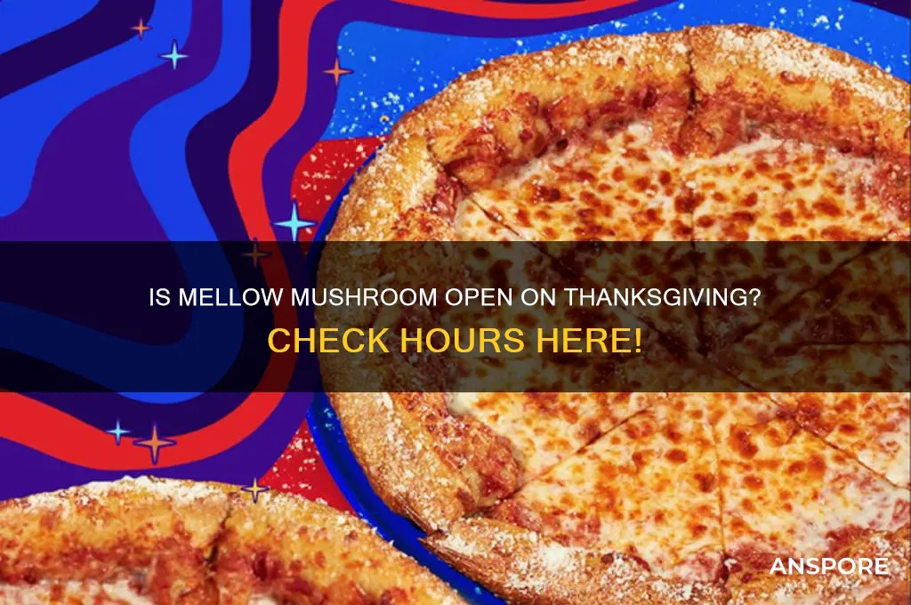 is mellow mushroom open on thanksgiving