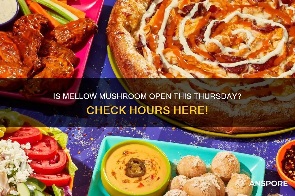 is mellow mushroom open this thursday