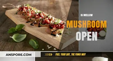 Mellow Mushroom Hours: When Can You Get Your Pizza Fix?