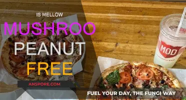 Mellow Mushroom's Peanut-Free Promise: What You Need to Know