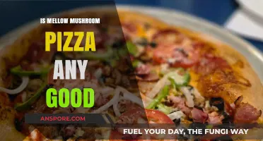 Is Mellow Mushroom Pizza Worth the Hype? A Tasty Review
