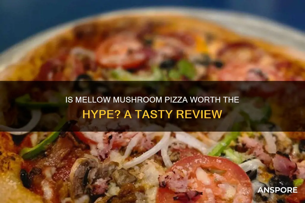 is mellow mushroom pizza any good