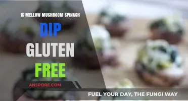 Is Mellow Mushroom's Spinach Dip Gluten-Free? A Tasty Inquiry