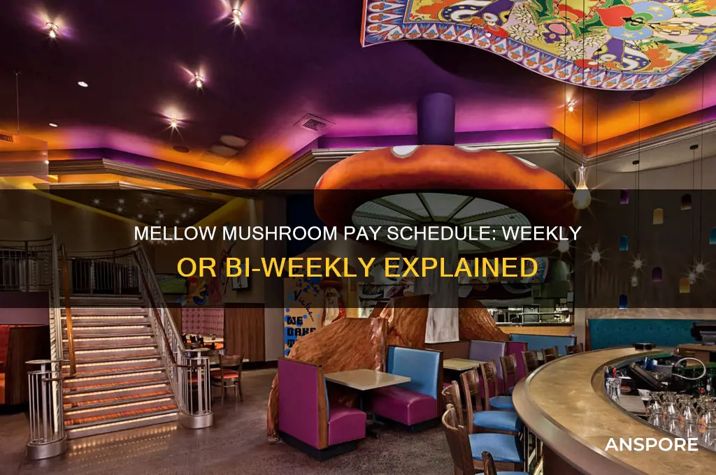is mellow mushroom weekly or bi weekly