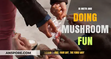 Exploring Meth and Mushrooms: Risks, Effects, and the Illusion of Fun