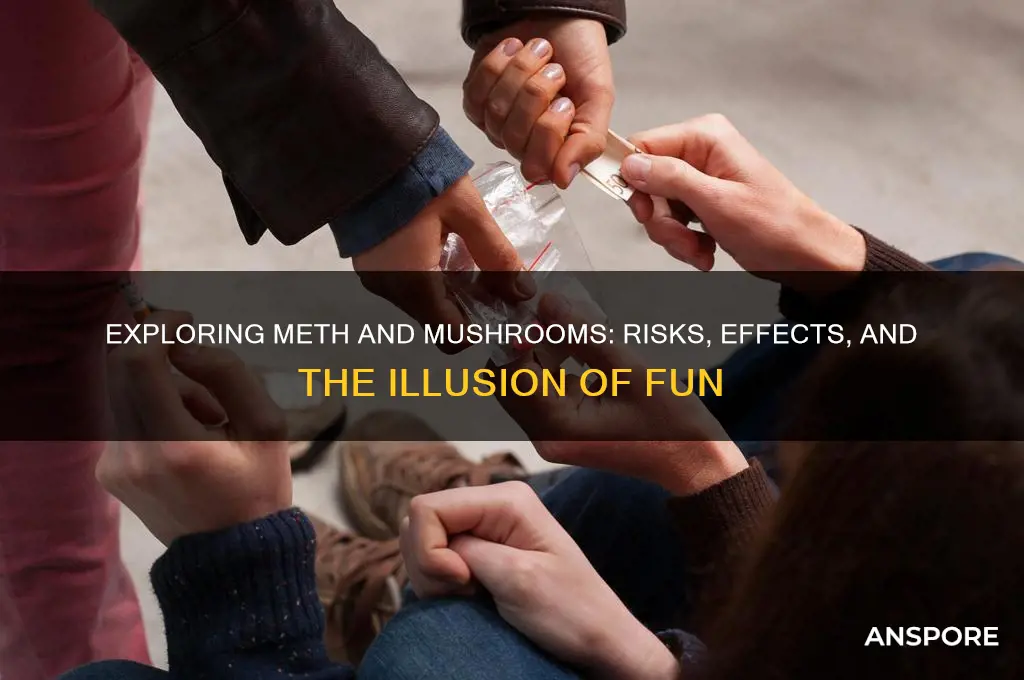 is meth and doing mushrooms fun