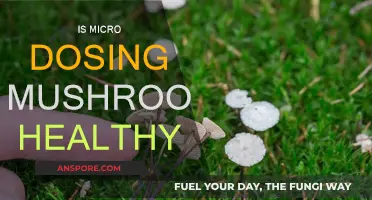 Microdosing Mushrooms: Healthy or Harmful?