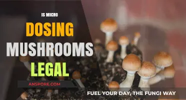 Is Microdosing Mushrooms Legal? Exploring the Legal Gray Area