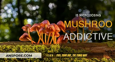 Microdosing Mushrooms: Addictive or Not?