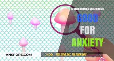 Microdosing Mushrooms for Anxiety: Potential Benefits and Risks Explored