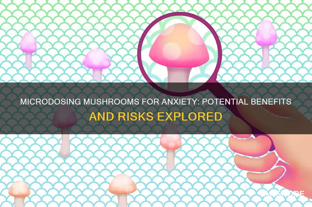 is microdosing mushrooms good for anxiety