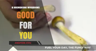 Microdosing Mushrooms: Unveiling Potential Benefits and Risks for Wellness