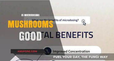 Microdosing Mushrooms: Benefits, Risks, and What Science Says