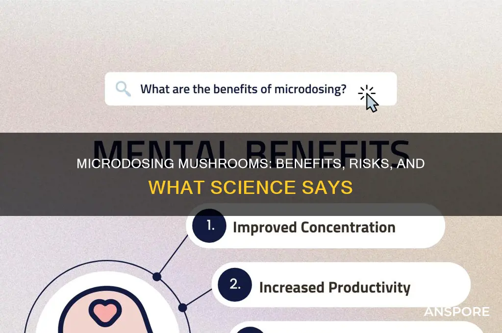 is microdosing mushrooms good