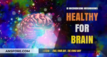 Microdosing Mushrooms: Unveiling Brain Health Benefits and Potential Risks