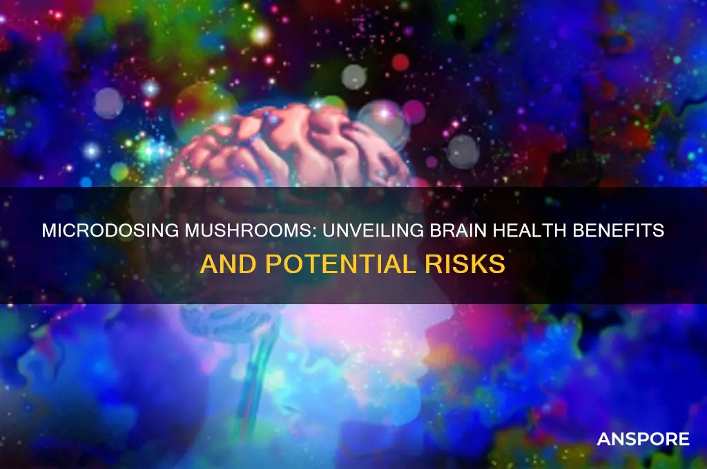 is microdosing mushrooms healthy for brain