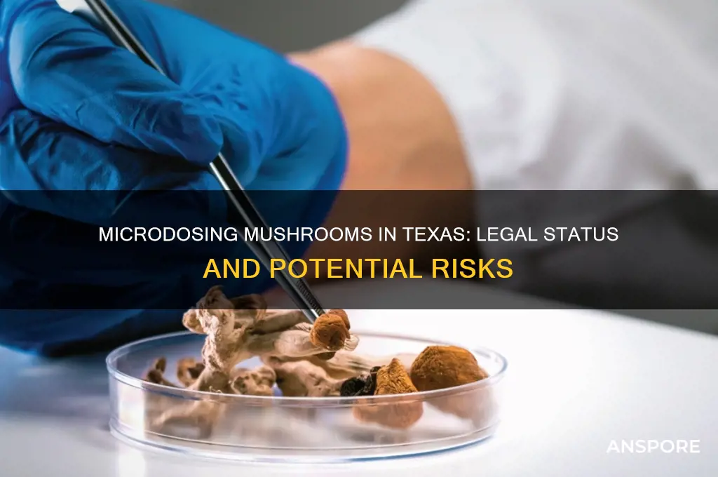 is microdosing mushrooms legal in texas