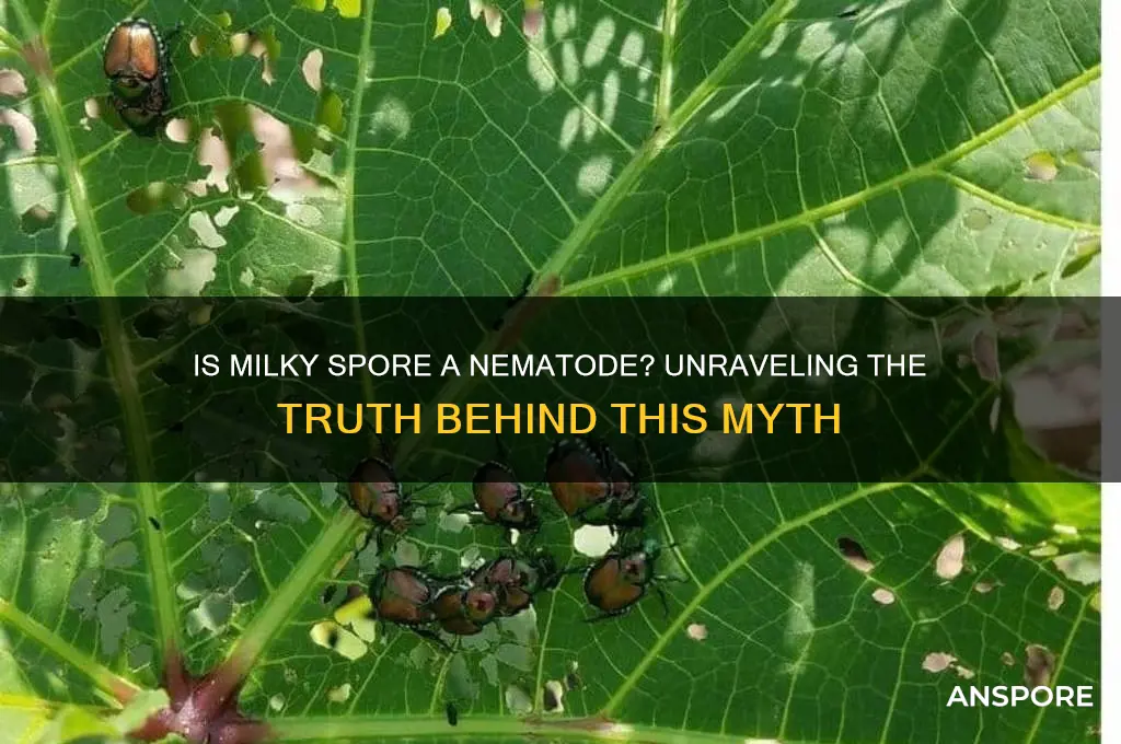 is milky spore a nematode