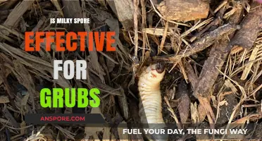 Milky Spore: Effective Grub Control or Overhyped Solution?