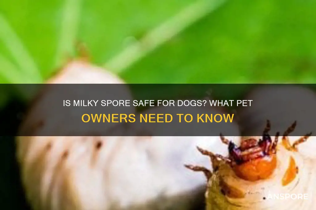 is milky spore harmful to dogs