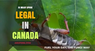 Is Milky Spore Legal in Canada? A Comprehensive Guide