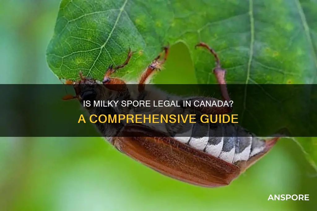 is milky spore legal in canada