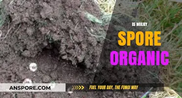 Is Milky Spore Organic? Uncovering the Truth for Your Garden