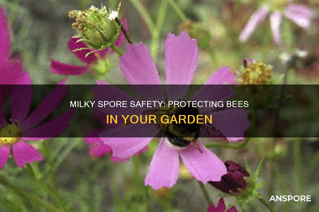 is milky spore safe for bees