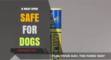 Is Milky Spore Safe for Dogs? A Pet Owner's Guide