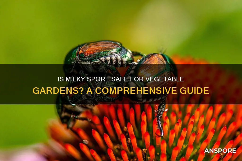 is milky spore safe for vegetable gardens