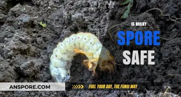 Is Milky Spore Safe for Your Lawn and Garden? Find Out