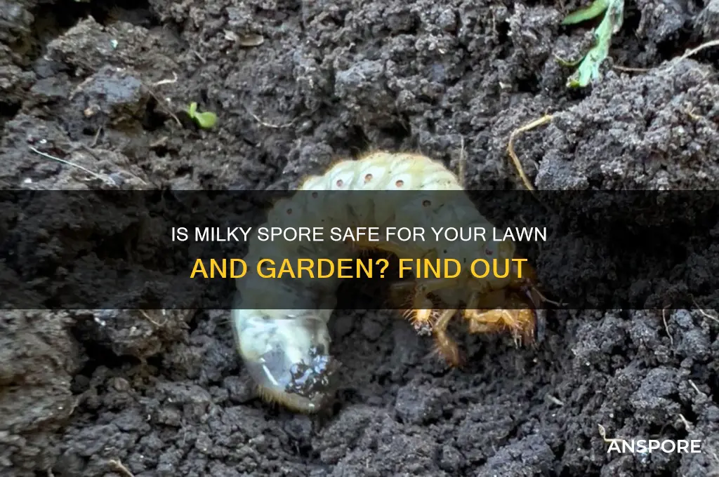 is milky spore safe