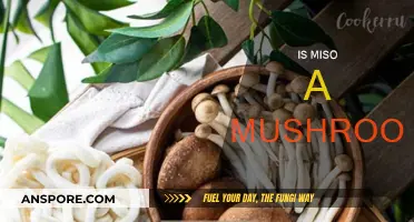 Miso and Mushrooms: What's the Connection?