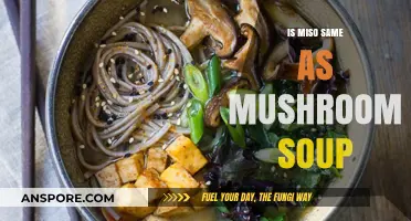 Miso vs. Mushroom Soup: Unraveling the Flavorful Differences and Similarities