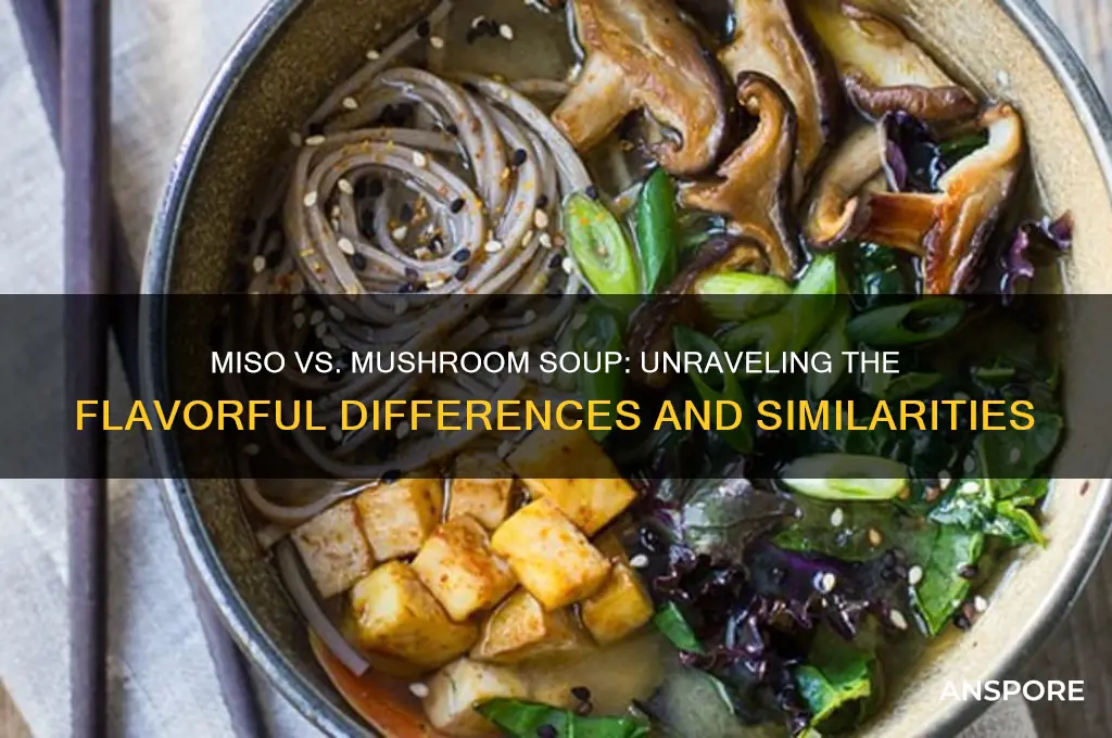 is miso same as mushroom soup